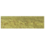 CARAN D'ACHE OIL PASTELS NEOPASTEL GOLD