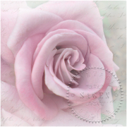 SAGEN VINTAGE ΧΑΡΤΟΠΕΤΣΈΤΕΣ DECOUPAGE 33/33 CM - 80099