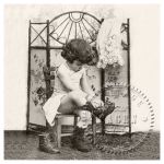 SAGEN VINTAGE ΧΑΡΤΟΠΕΤΣΈΤΕΣ DECOUPAGE 33/33 CM - 2081