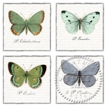 SAGEN VINTAGE ΧΑΡΤΟΠΕΤΣΈΤΕΣ DECOUPAGE 33/33 CM - 80056