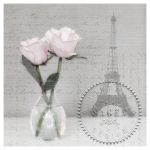 SAGEN VINTAGE ΧΑΡΤΟΠΕΤΣΈΤΕΣ DECOUPAGE 33/33 CM - 80072