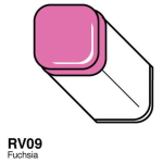 ΚΟΠΙΚΌΣ ΔΕΊΚΤΗΣ - RV-09