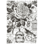 STAMPERIA BIRDCAGE DECOUPAGE ΡΙΖΌΧΑΡΤΟ A4 - DFSA4195