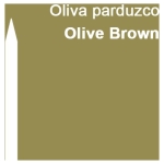 CARAN D'ACHE ΜΟΛΎΒΙΑ ΑΚΟΥΑΡΈΛΑΣ PRISMALO OLIVE BROWN