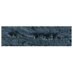 CARAN D'ACHE OIL ΠΑΣΤΈΛ NEOPASTEL ΓΚΡΙΖΩΠΌ ΜΑΎΡΟ 008