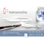 HAHNEMUHLE SKETCHBOOK ΑΡΜΟΝΊΑ 29,7/42 CM, 300 G, 12 L. - Εικόνα 2
