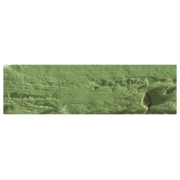 CARAN D'ACHE OIL ΠΑΣΤΈΛ NEOPASTEL ΧΑΚΊ