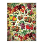 CADENCE DECOUPAGE ΡΙΖΌΧΑΡΤΟ A3 - 038