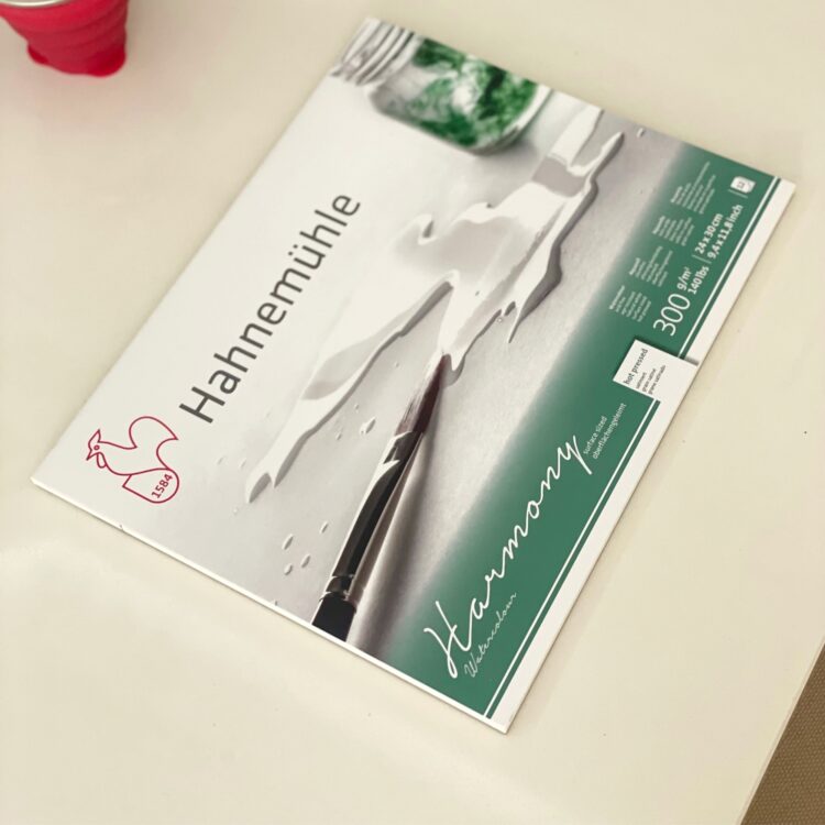 HAHNEMUHLE SKETCHBOOK ΑΡΜΟΝΊΑ 21/29,7 CM, 300 G, 12 L. - Εικόνα 2