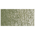 CARAN D'ACHE OIL ΠΑΣΤΈΛ NEOPASTEL OLIVE GREY