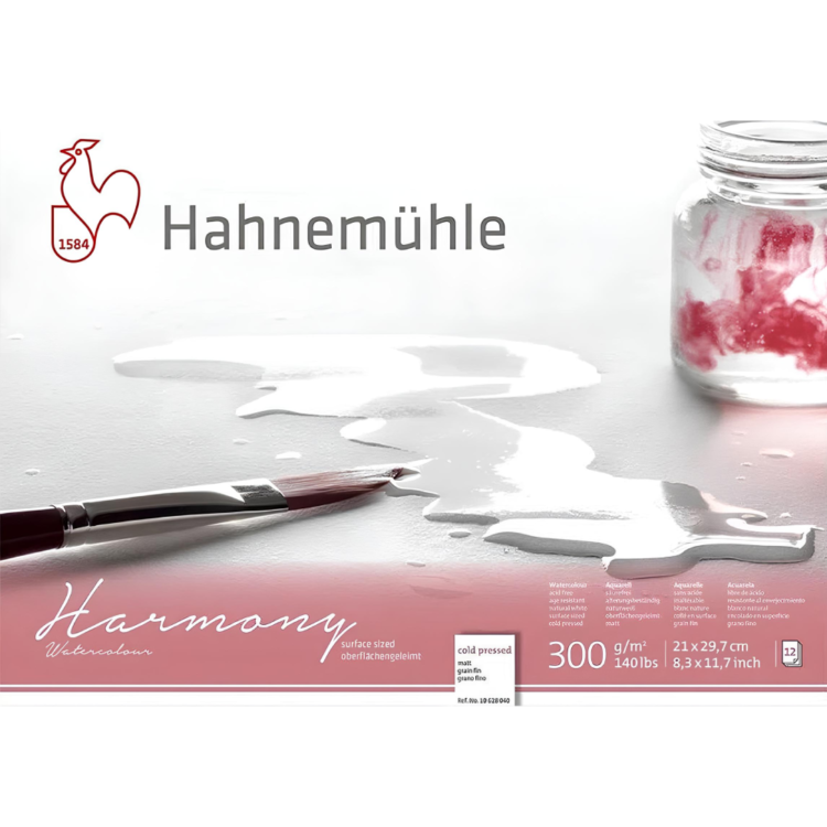 628040 HAHNEMUHLE SKETCHBOOK ΑΡΜΟΝΊΑ 21/29,7 CM, 300 G, 12 L. - Εικόνα 1