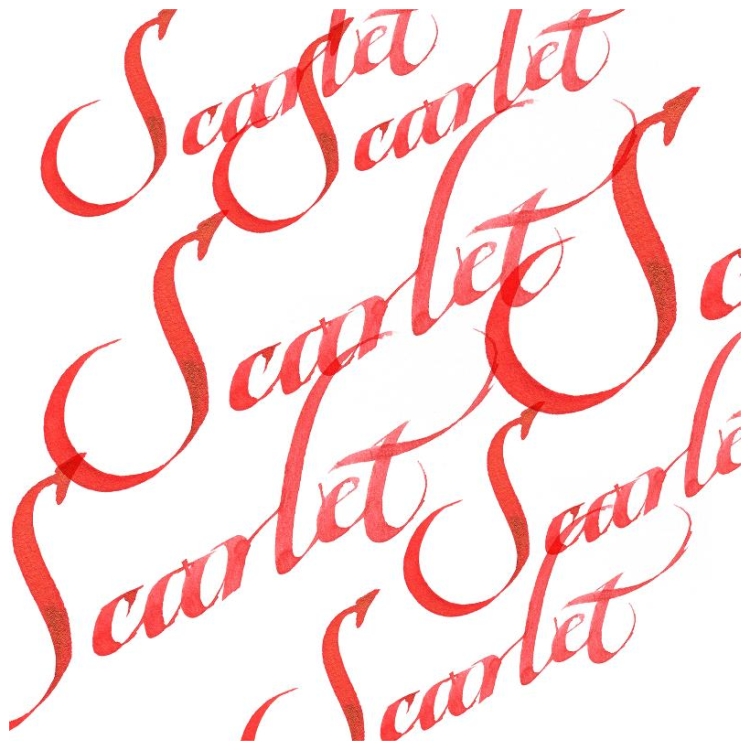 ΝΤΟΥΣ ΚΑΛΛΙΓΡΑΦΙΑΣ W&N 30 ML - SCARLET - Εικόνα 2