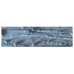 CARAN D'ACHE OIL ΠΑΣΤΈΛ NEOPASTEL GREY