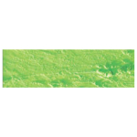 CARAN D'ACHE OIL PASTELS NEOPASTEL SPRING GREEN