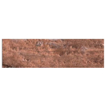 CARAN D'ACHE OIL PASTELS NEOPASTEL BRONZE