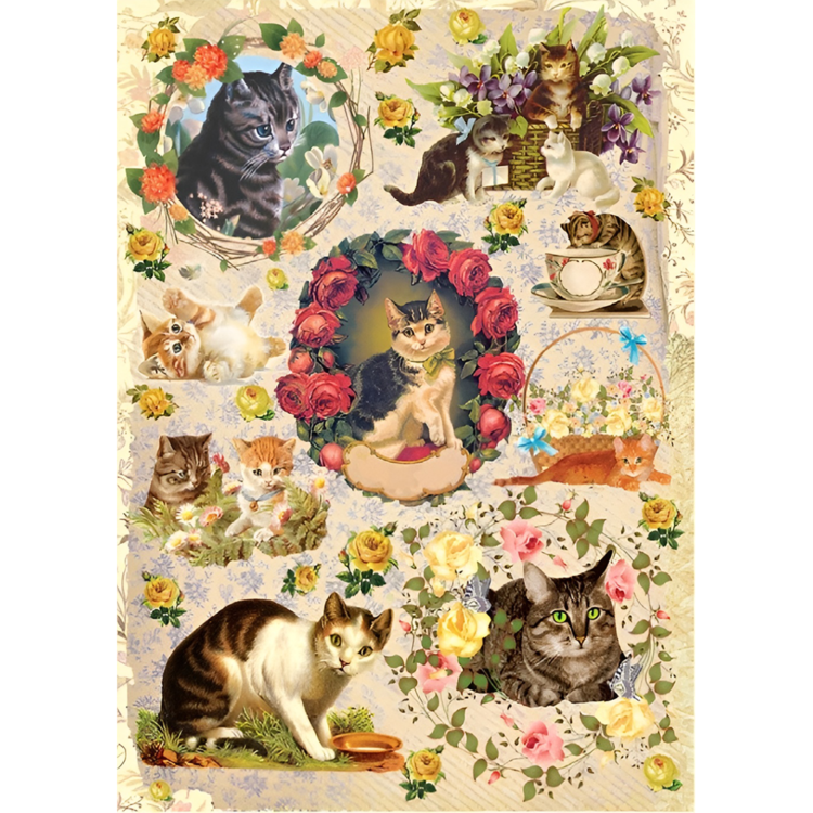 ΡΥΖΙΛΟΧΑΡΤΟ CADENCE DECOUPAGE A4 - 280 - Εικόνα 1
