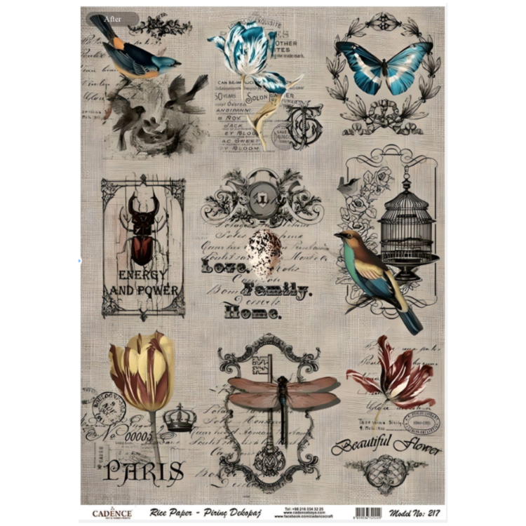 cadence A4 – 217 ΡΥΖΙΛΟΧΑΡΤΟ CADENCE DECOUPAGE A4 - 217 - Εικόνα 1
