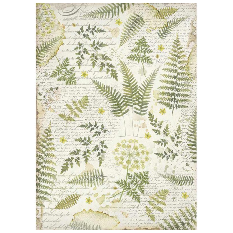 DFSA3047 ΡΙΖΌΧΑΡΤΟ STAMPERIA DECOUPAGE A3 - DFSA3047 - Εικόνα 1