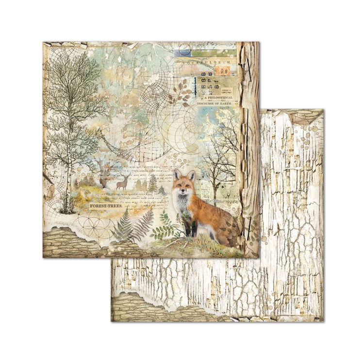 ΜΠΛΟΚ ΧΑΡΤΙΟΥ ΔΑΣΟΥΣ STAMPERIA 30.5/30.5CM - SBBL63 - Εικόνα 13