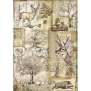 STAMPERIA FOREST DECOUPAGE ΧΑΡΤΙ A4 - DFSA4426