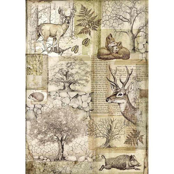 full_DFSA4426_1 STAMPERIA FOREST DECOUPAGE ΧΑΡΤΙ A4 - DFSA4426 - Εικόνα 1