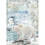 STAMPERIA ARCTIC ANTARCTIC DECOUPAGE ΧΑΡΤΊ A4 - DFSA4478
