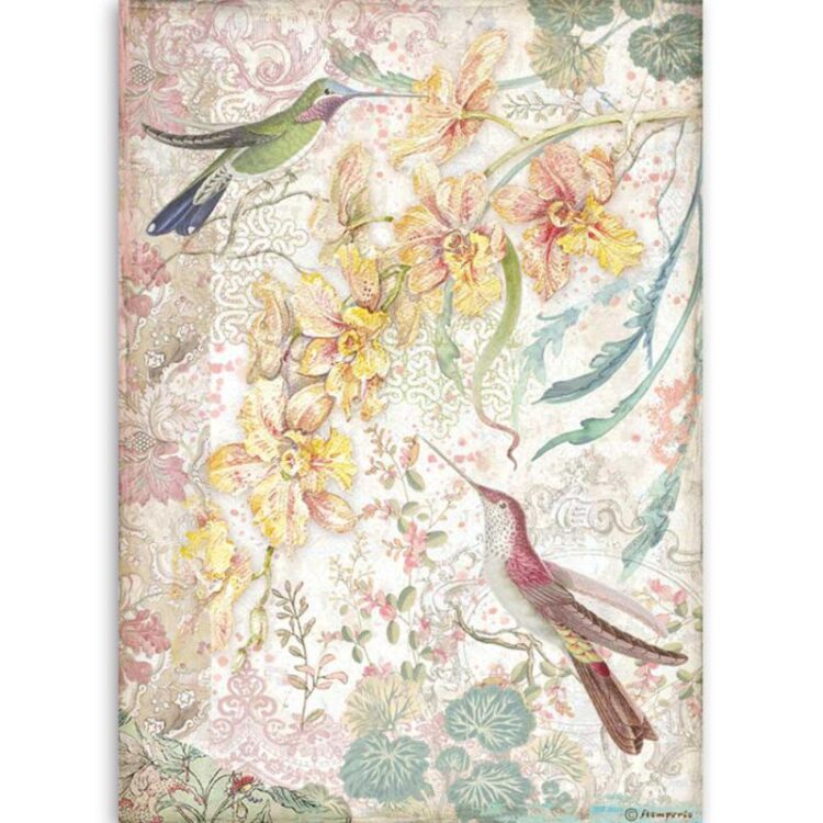 STAMPERIA ΟΡΧΙΔΈΕΣ ΚΑΙ ΓΆΤΕΣ DECOUPAGE ΧΑΡΤΊ A4 - DFSA4510 - Εικόνα 1