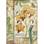 ΡΙΖΌΧΑΡΤΟ STAMPERIA DECOUPAGE A4 - DFSA4532