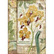 ΡΙΖΌΧΑΡΤΟ STAMPERIA DECOUPAGE A4 - DFSA4532