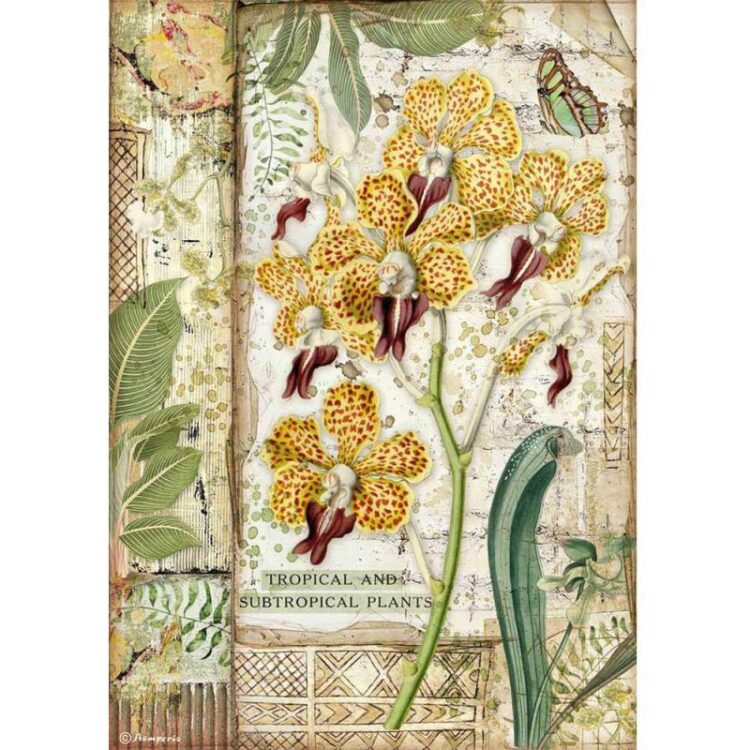 ΡΙΖΌΧΑΡΤΟ STAMPERIA DECOUPAGE A4 - DFSA4532 - Εικόνα 1