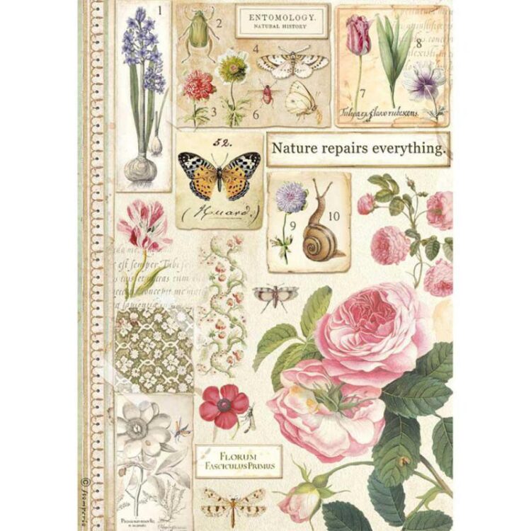 DFSA4623 ΡΙΖΌΧΑΡΤΟ STAMPERIA DECOUPAGE A4 - DFSA4623 - Εικόνα 1