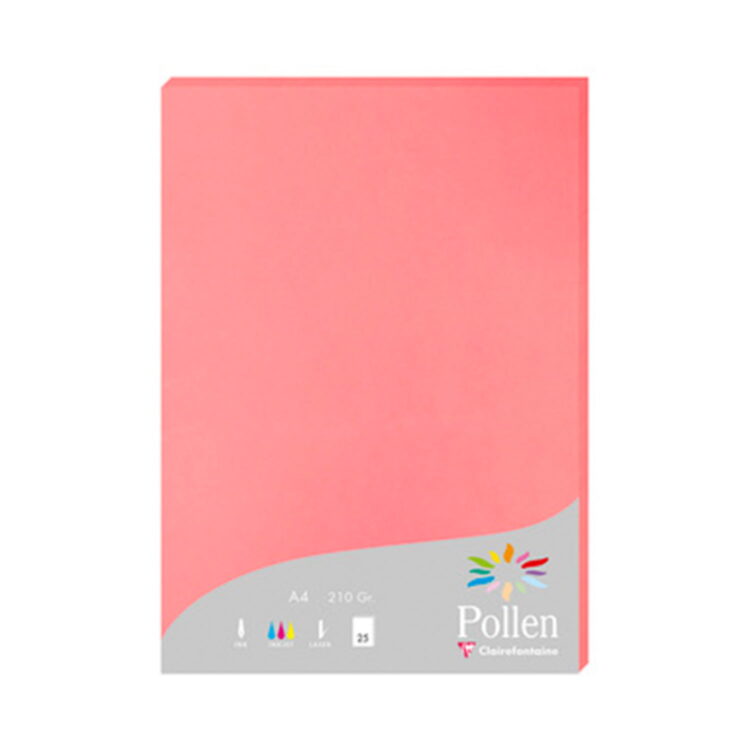 pollen_pink CLAIREFONTAINE ΧΑΡΤΊ A4 210 G -ΛΊΤΣΙ - Εικόνα 1