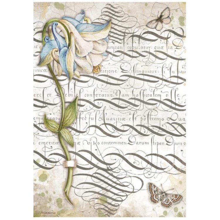 full_DFSA4668_1 STAMPERIA ROMANTIC GARDEN HOUSE DECOUPAGE ΧΑΡΤΙ A4-DFSA4668 - Εικόνα 1
