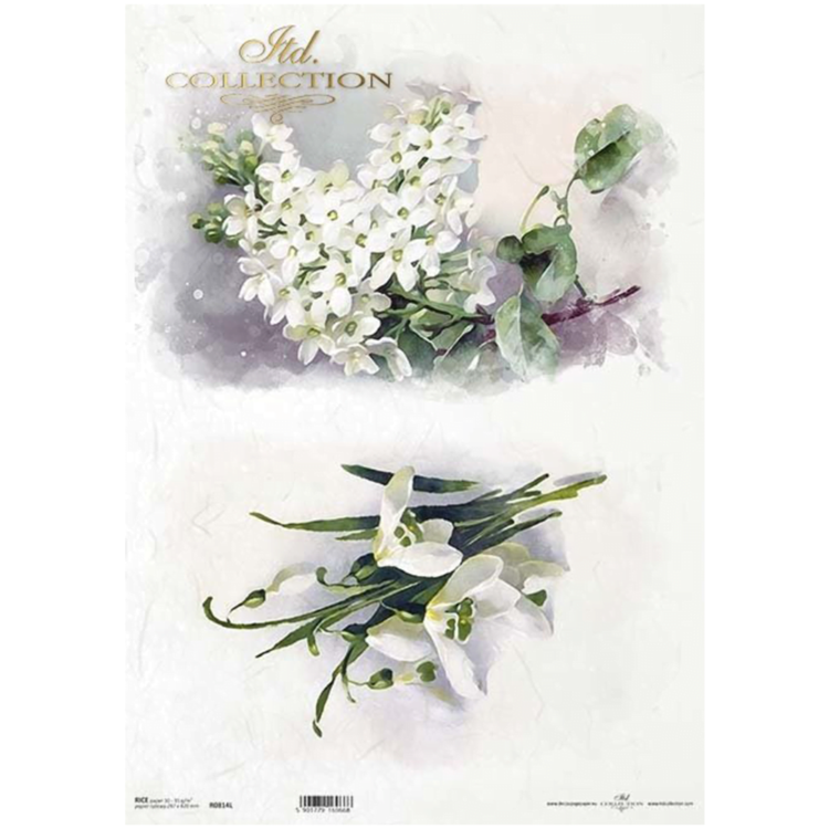 itd 80 ITD COLLECTION DECOUPAGE ΡΙΖΌΧΑΡΤΟ A3 - R0814L - Εικόνα 1