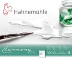 HAHNEMUHLE SKETCHBOOK HARMONY SATINIERT 24/30CM, 300G, 12L. - Εικόνα 2