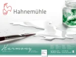 HAHNEMUHLE SKETCHBOOK HARMONY SATINIERT 30/40CM, 300G, 12L. - Εικόνα 2