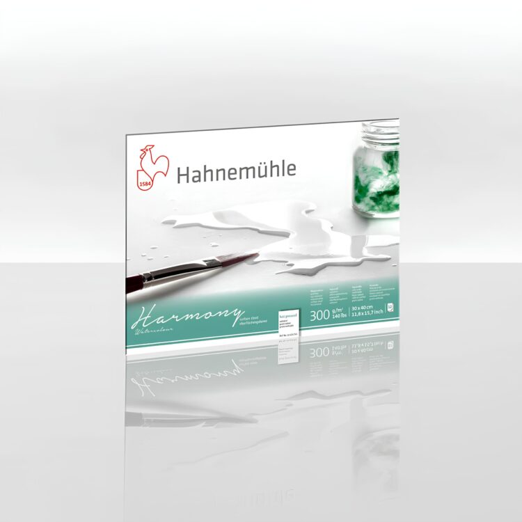 628765 HAHNEMUHLE SKETCHBOOK HARMONY SATINIERT 30/40CM, 300G, 12L. - Εικόνα 1