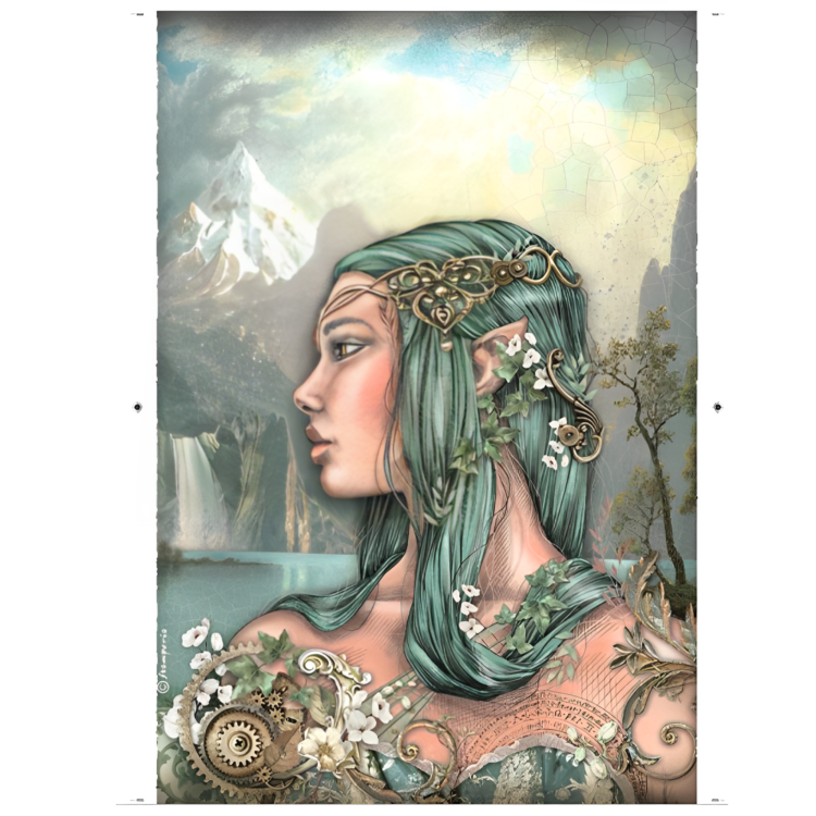 DFSA4748 STAMPERIA MAGIC FOREST DECOUPAGE ΧΑΡΤΊ AMAZON A4-DFSA4748 - Εικόνα 1
