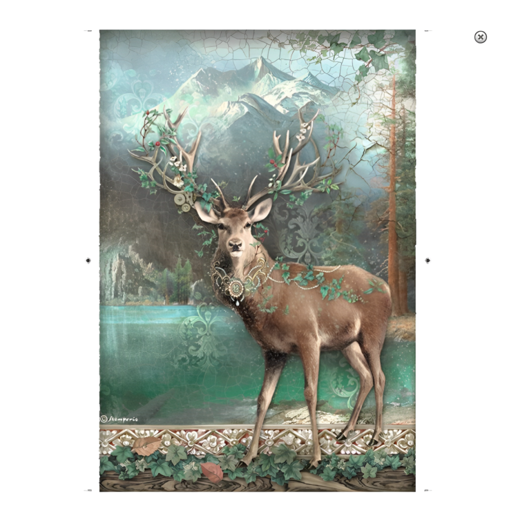 STAMPERIA MAGIC FOREST DECOUPAGE ΡΙΖΌΧΑΡΤΟ Α4 -DFSA4750 - Εικόνα 1