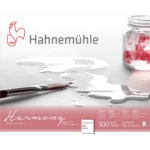 HAHNEMUHLE SKETCHBOOK HARMONY ΜΑΤ 24/30CM, 300G, 12L.