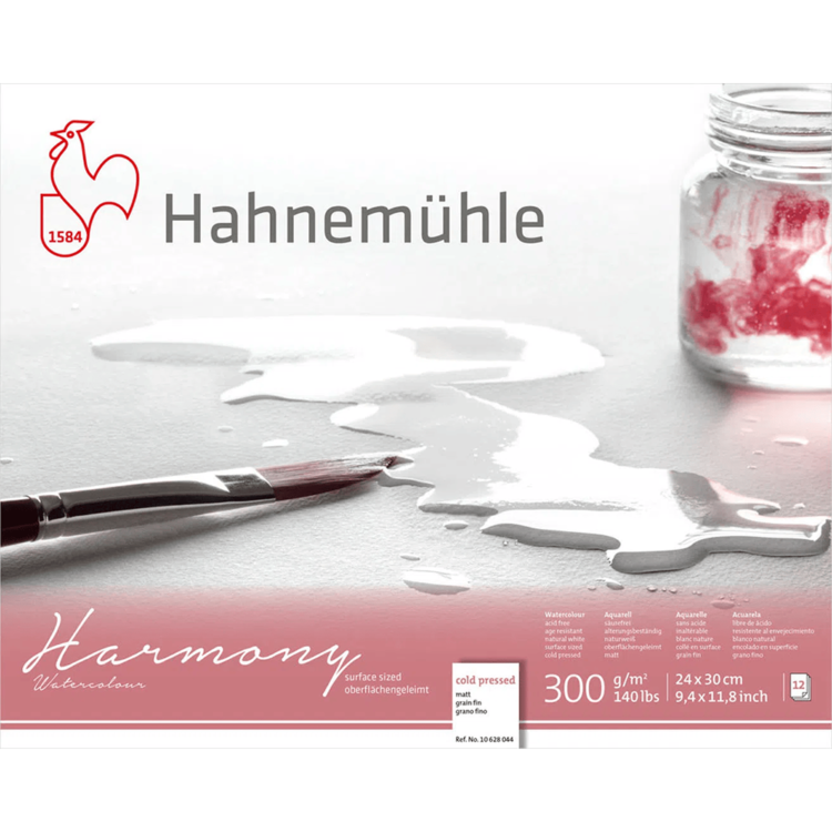 hahne 44 (1) HAHNEMUHLE SKETCHBOOK HARMONY ΜΑΤ 24/30CM, 300G, 12L. - Εικόνα 1