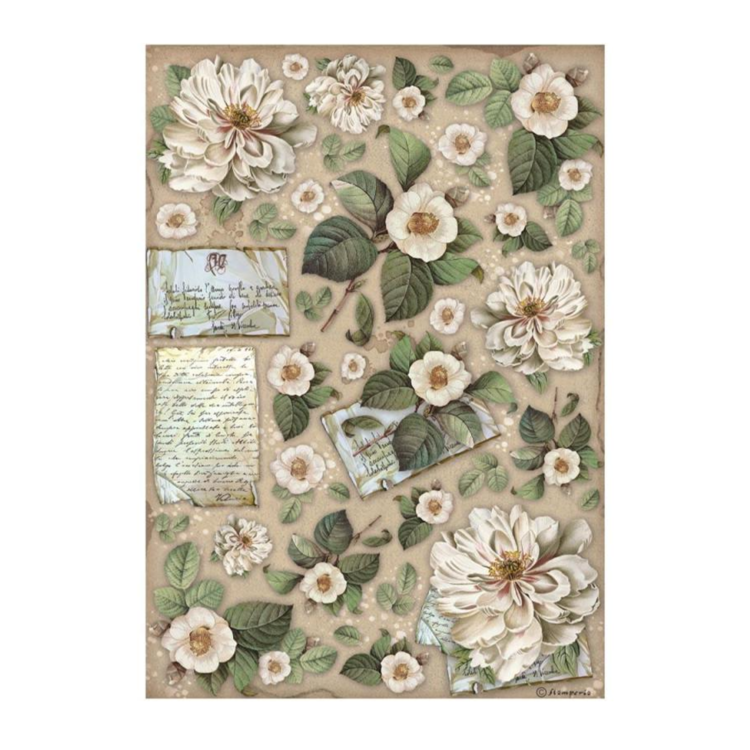 STAMPERIA VINTAGE ΒΙΒΛΙΟΘΗΚΗ DECOUPAGE ΧΑΡΤΙ A4 - DFSA4757 - Εικόνα 1