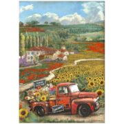 STAMPERIA ΗΛΙΌΣΠΟΡΟΣ DECOUPAGE ΡΙΖΌΧΑΡΤΟ A4 - DFSA4769