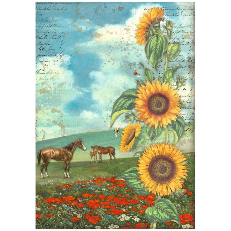 STAMPERIA SUNFLOWER ART DECOUPAGE ΧΑΡΤΊ 6ΤΜΧ. Α4 DFSA4XSF - Εικόνα 2