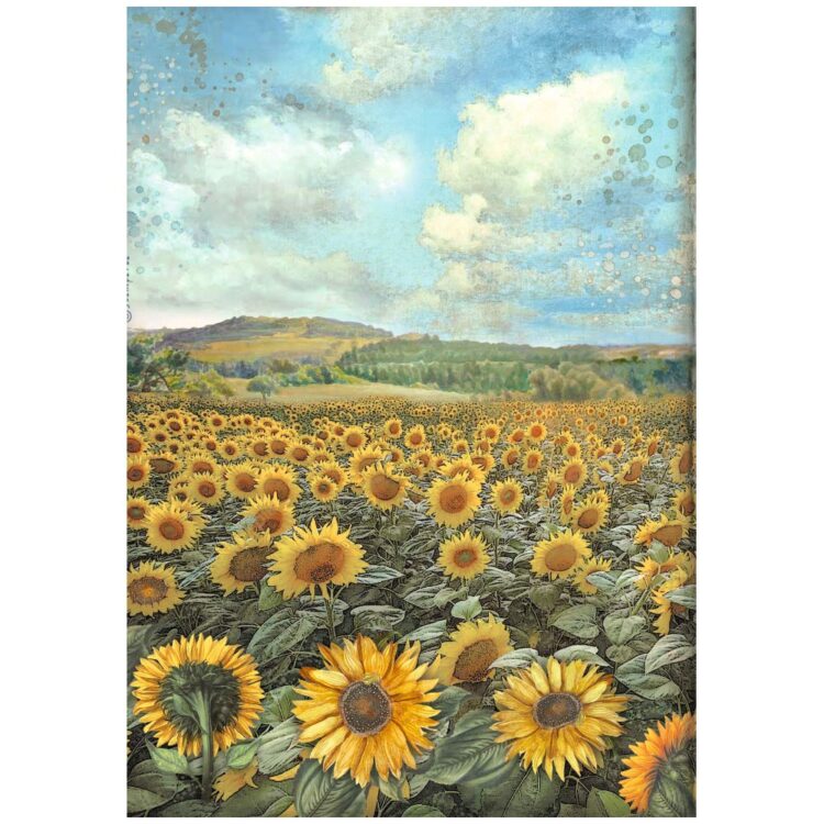STAMPERIA SUNFLOWER ART DECOUPAGE ΧΑΡΤΊ 6ΤΜΧ. Α4 DFSA4XSF - Εικόνα 5