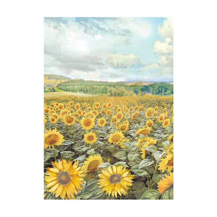 STAMPERIA SUNFLOWER ART DECOUPAGE ΧΑΡΤΊ 8ΤΜΧ. A6 DFSAK6004 - Εικόνα 2