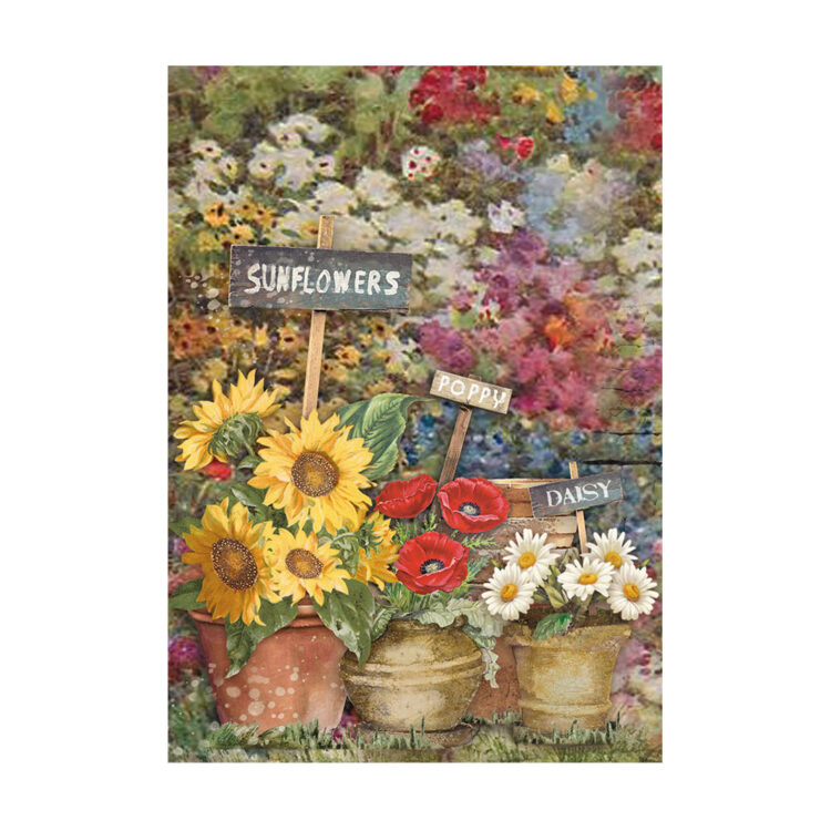 STAMPERIA SUNFLOWER ART DECOUPAGE ΧΑΡΤΊ 8ΤΜΧ. A6 DFSAK6004 - Εικόνα 4