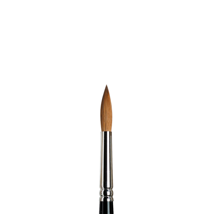 5007008 W&N ΑΚΟΥΑΡΕΛΑ SABLE BRUSH ROUND SERIES 7 No. 8 -5007008 - Εικόνα 1