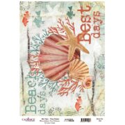 ΡΥΖΙΛΟΧΑΡΤΟ CADENCE DECOUPAGE A3 - 799