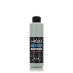 CADENCE ΑΚΡΥΛΙΚΌ ΧΡΏΜΑ AMBIANTE 250 ML. - ΠΡΆΣΙΝΟ LINDEN AW-13